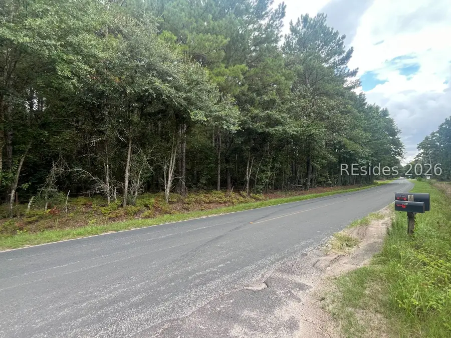 TBD Bellinger Hill Road, Hardeeville, SC 29927 - #2