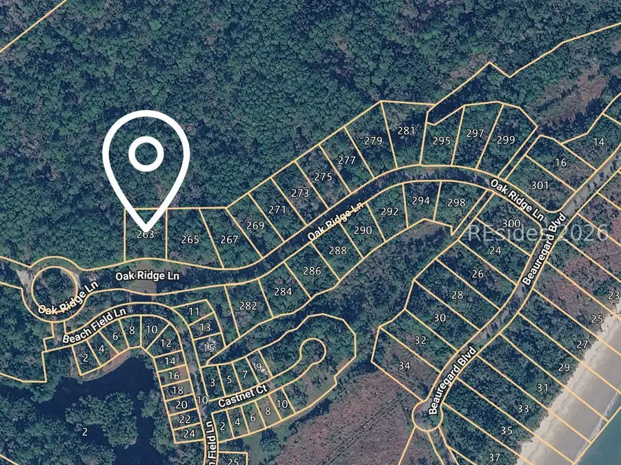 263 Oakridge Lane, Daufuskie Island, SC 29915 - #2