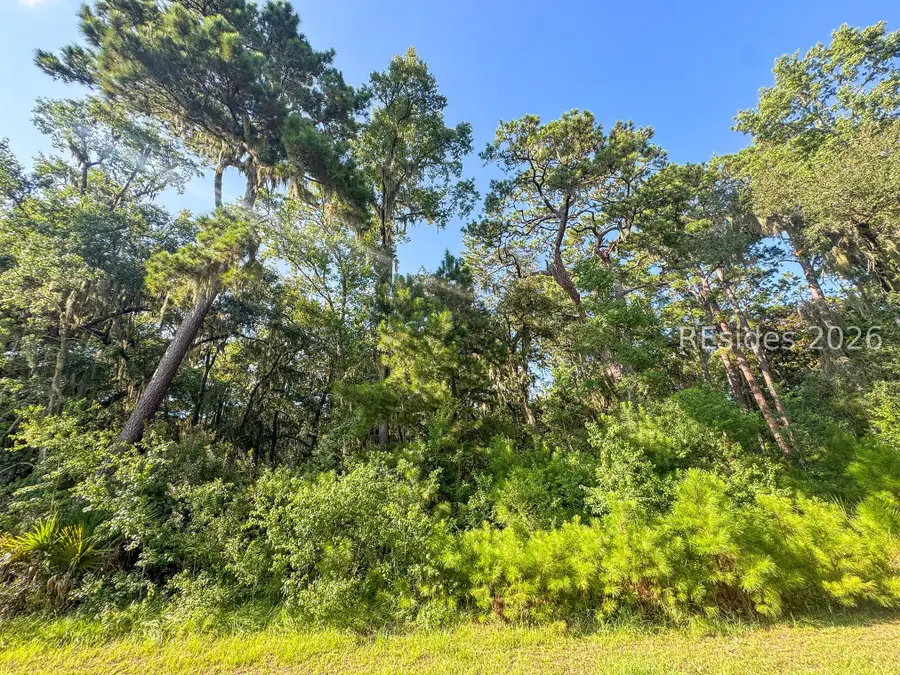 263 Oakridge Lane, Daufuskie Island, SC 29915 - #3