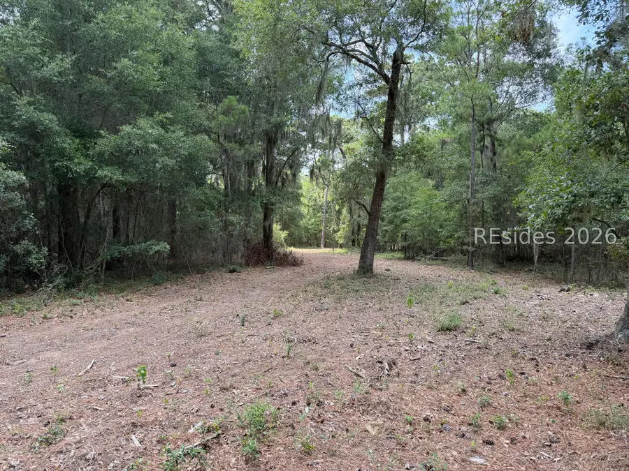 1751 Seaside Road, Saint Helena Island, SC 29920 - #3