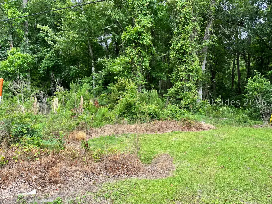 Lot 3 Estelle Road, Beaufort, SC 29906 - #3