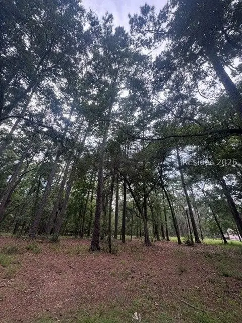 32 Martinangel Lane, Daufuskie Island, SC 29915 - #2