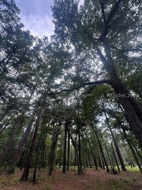 32 Martinangel Lane, Daufuskie Island, SC 29915 - #3