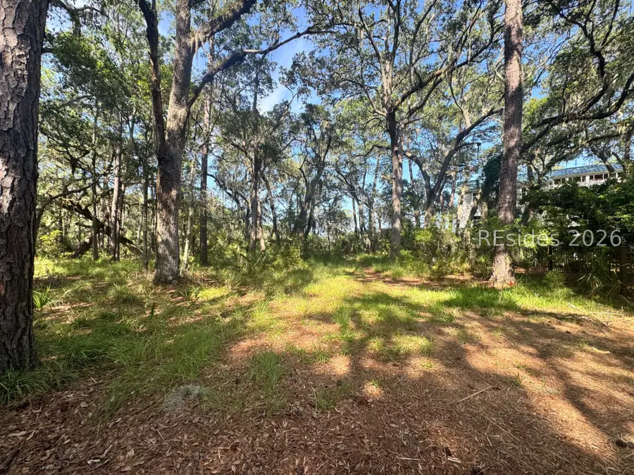 7 N Point Trail, Beaufort, SC 29907 - #2
