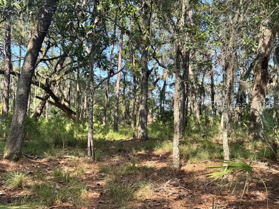 7 N Point Trail, Beaufort, SC 29907 - #3