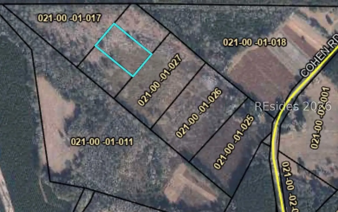 0 Cohen Road, Pineland, SC 29934 - #1