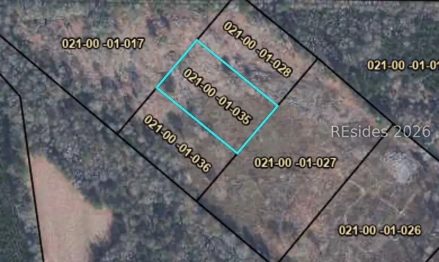 0 Cohen Road, Pineland, SC 29934 - #2
