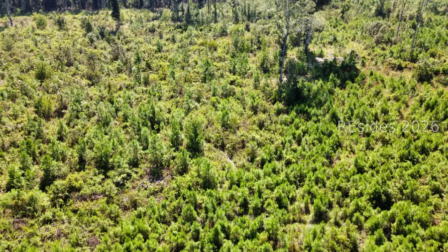 0 Cohen Road, Pineland, SC 29934 - #3