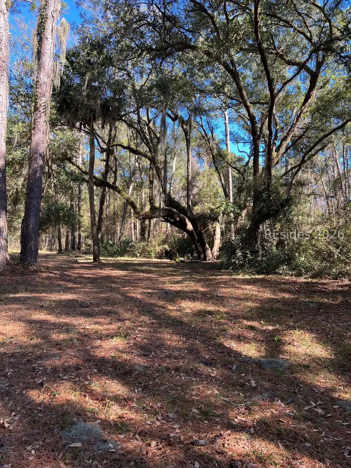 17 Little Neck, Okatie, SC 29909 - #1