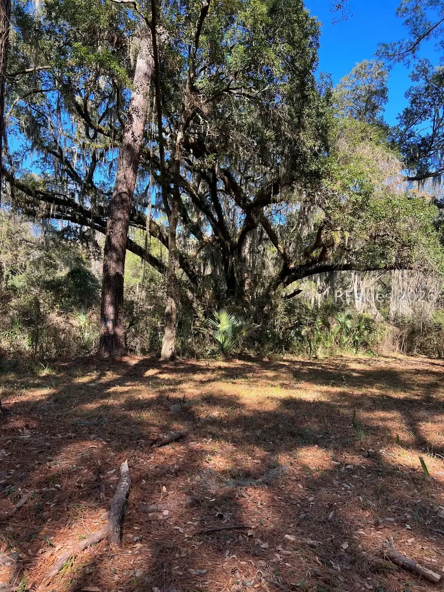 17 Little Neck, Okatie, SC 29909 - #3