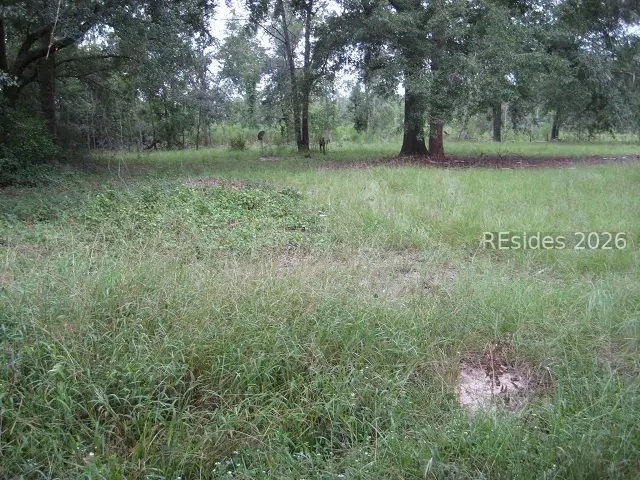 401 Stock Farm Road, Ridgeland, SC 29936 - #1