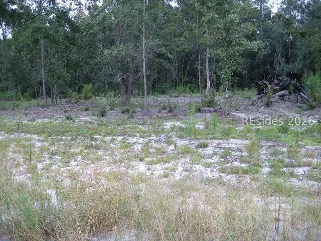 401-2A Stock Farm Road, Ridgeland, SC 29936 - #3