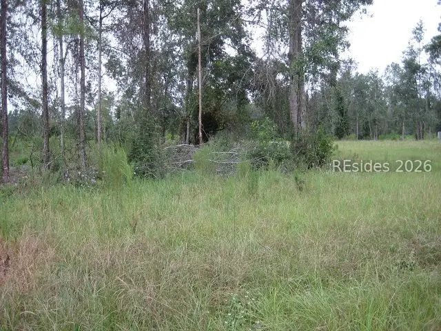 401-1B Stock Farm Road, Ridgeland, SC 29936 - #3