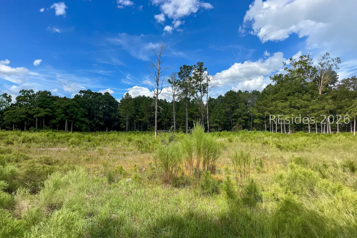 200 Edgewood Drive, Saint Matthews, SC 29135 - #1