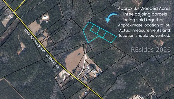 TBD Calf Pen Bay Road, Pineland, SC 29934