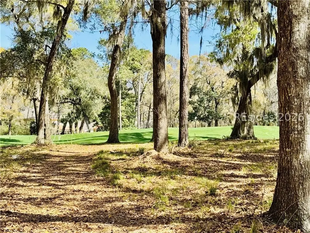 60 Forest Lake Drive, Daufuskie Island, SC 29915 - #1