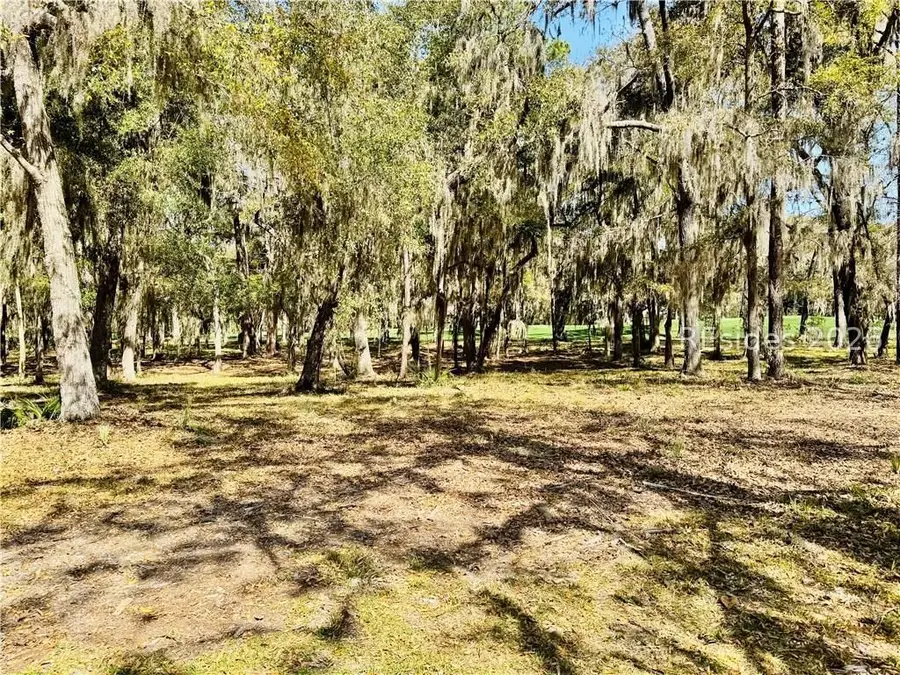 60 Forest Lake Drive, Daufuskie Island, SC 29915 - #3