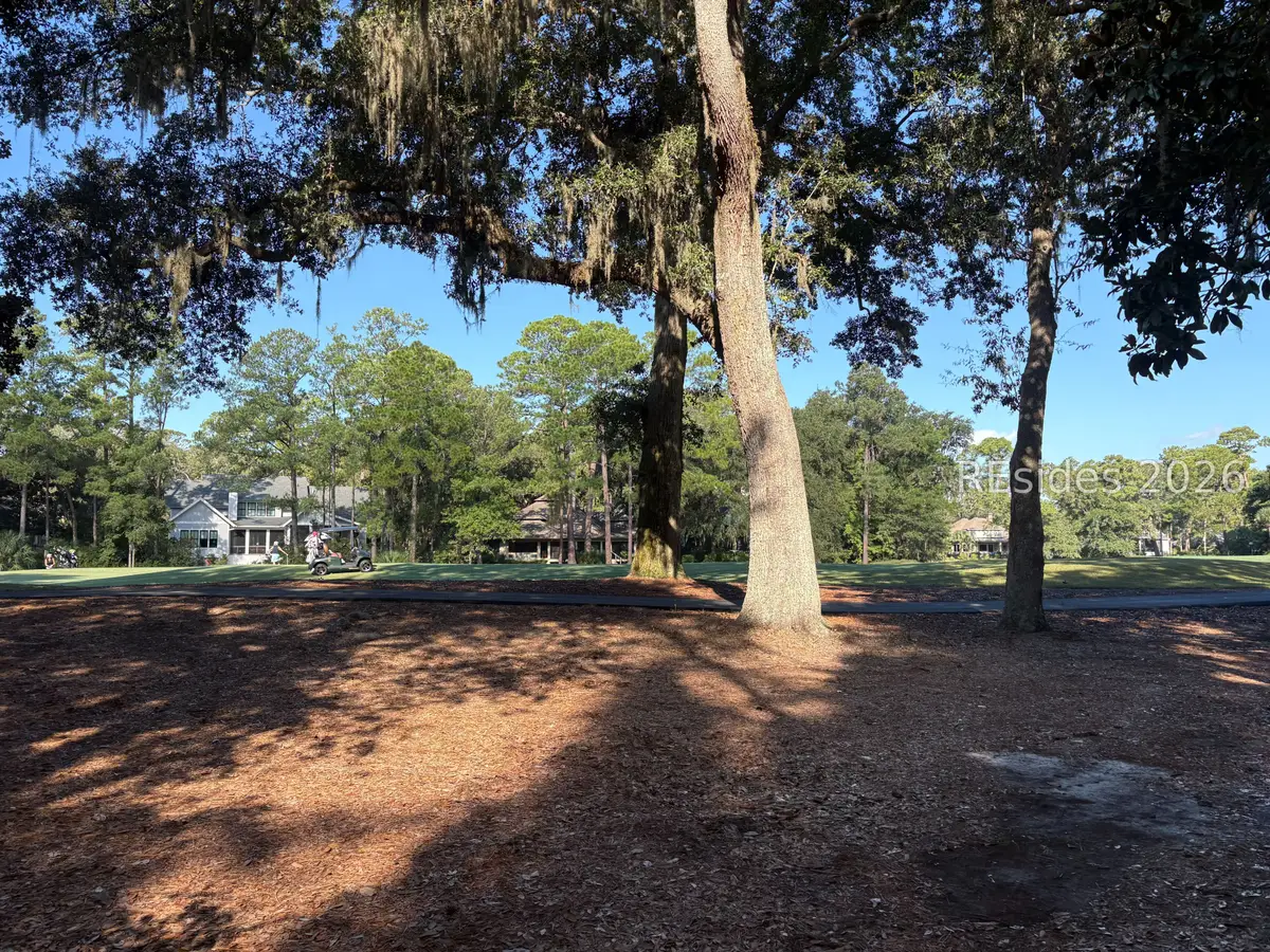 1 Trimblestone Lane, Hilton Head Island, SC 29928 - #1