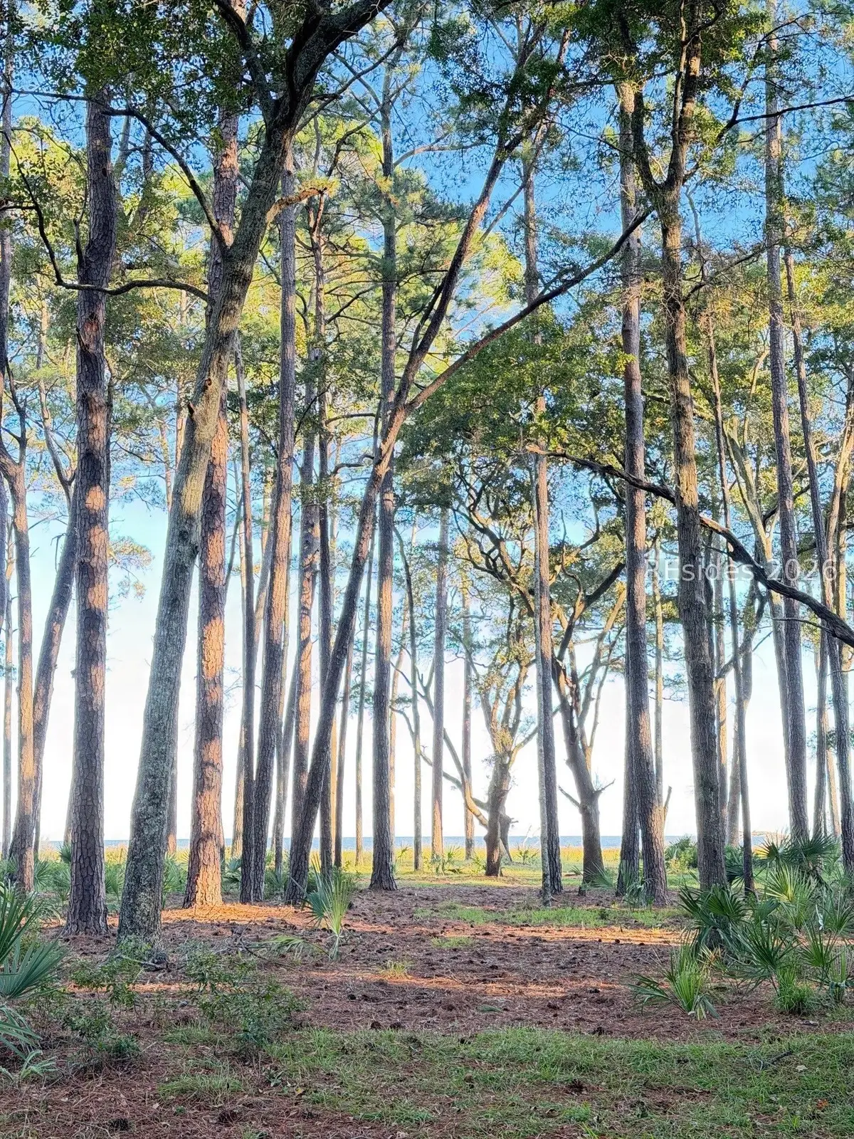 89 Martinangel Lane, Daufuskie Island, SC 29915 - #1