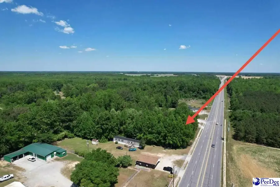 TBD S Highway 301, Latta, SC 29536 - #3