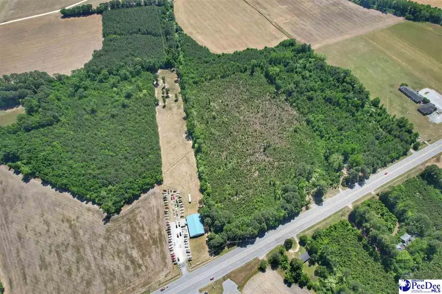 TBD S Highway 301, Dillon, SC 29536 - #2
