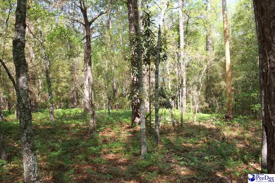 #3