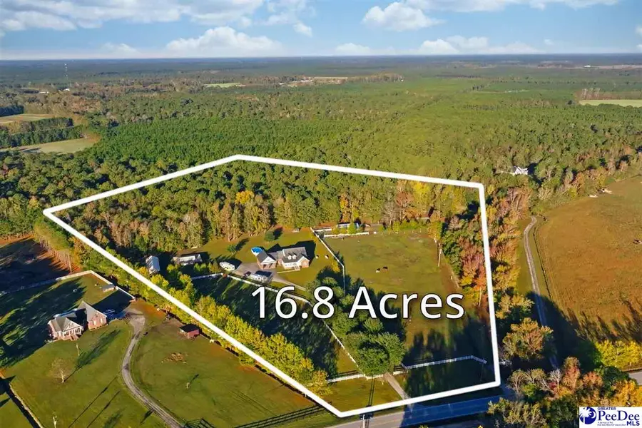 1555 Big Swamp Road, Pamplico, SC 29583 - Image #2