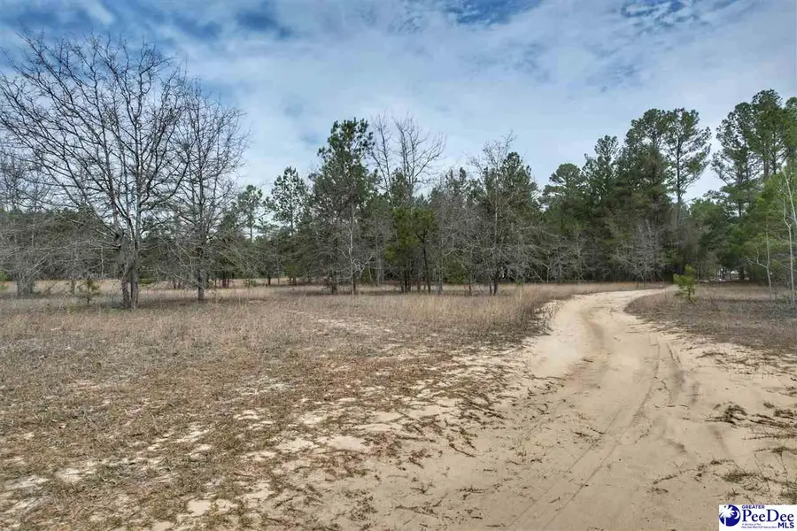 TBD Ozelma Drive, Dillon, SC 29536 - #2