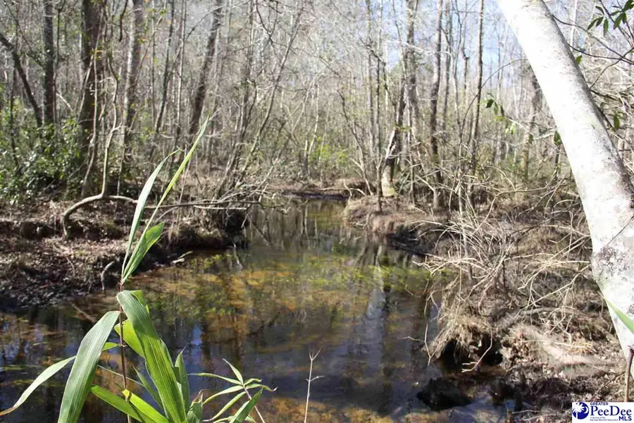 3329 W Bobo Newsom Hwy, Hartsville, SC 29550 - Image #3