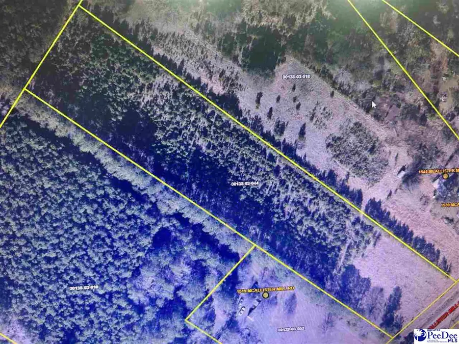 Mcallister Mill Rd, Lake City, SC 29560 - #2