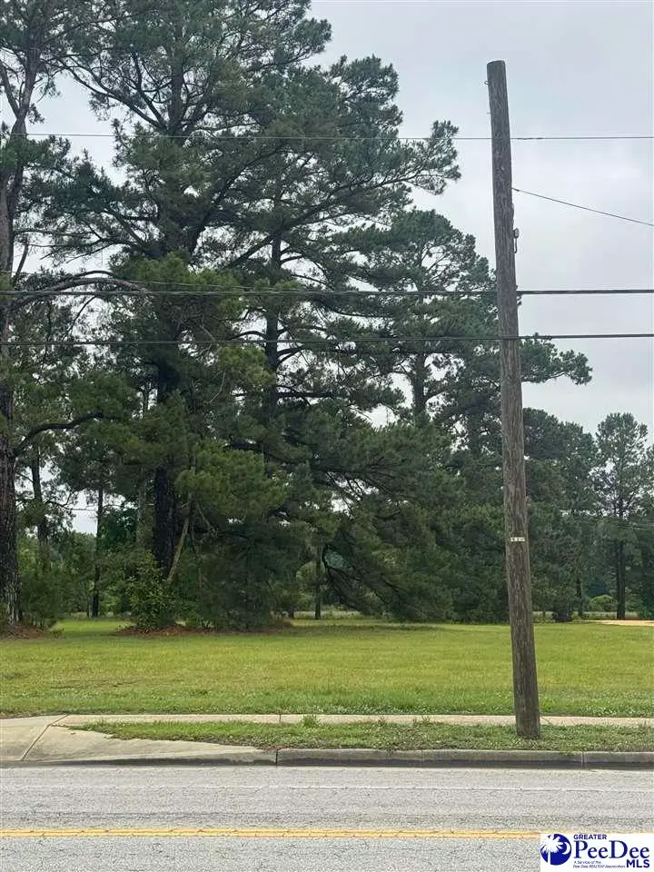 Lot 2 Liberty Street, Marion, SC 29571-0000 - Image #1