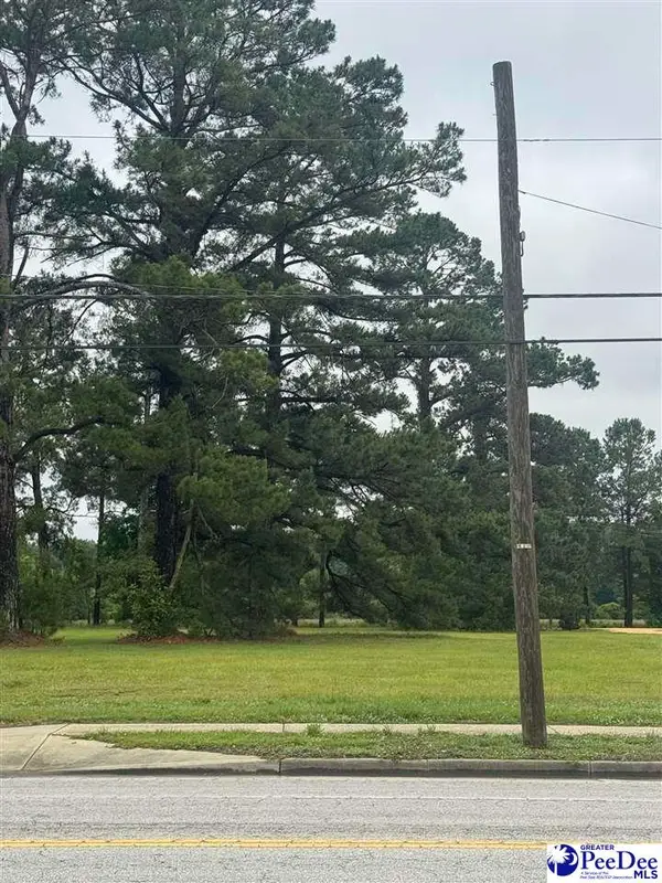 Lot 2 Liberty Street, Marion, SC 29571-0000