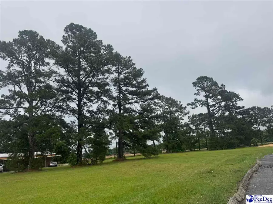 Lot 2 Liberty Street, Marion, SC 29571-0000 - Image #2