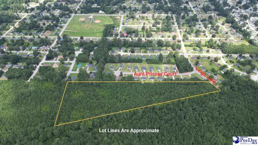 10.5 Acres Leigh Ln, Florence, SC 29505 - Image #3