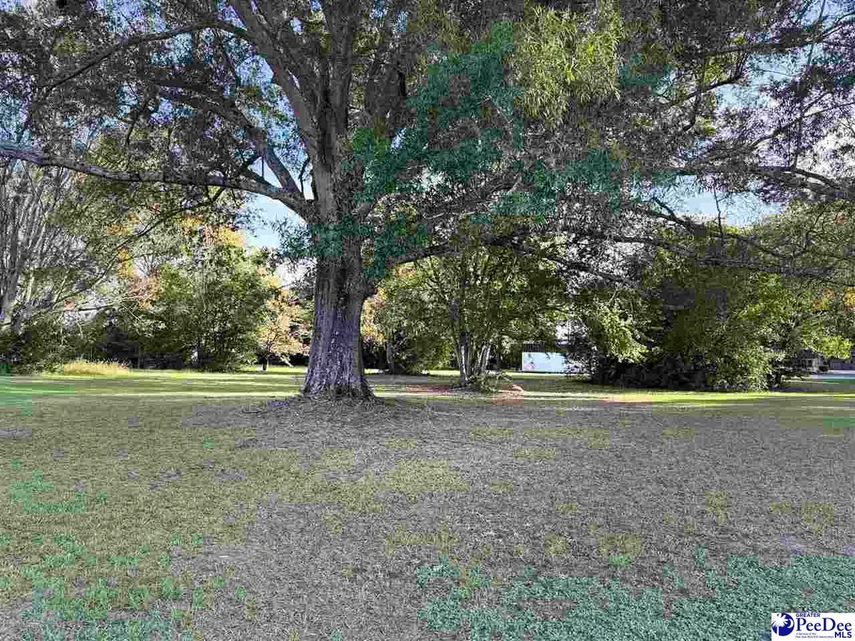 920 E Godbold Street, Marion, SC 29571 - Image #1