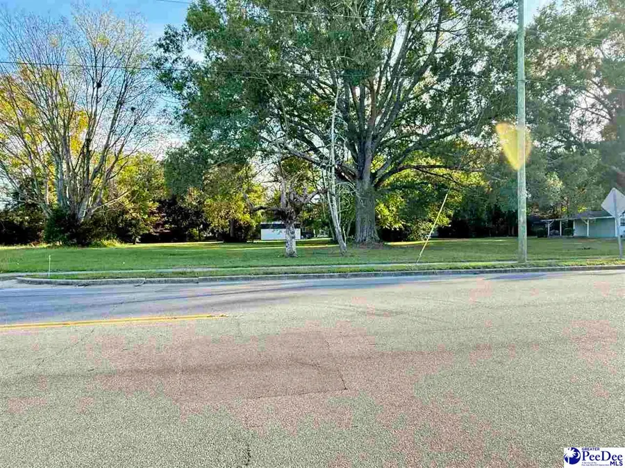 920 E Godbold Street, Marion, SC 29571 - Image #2