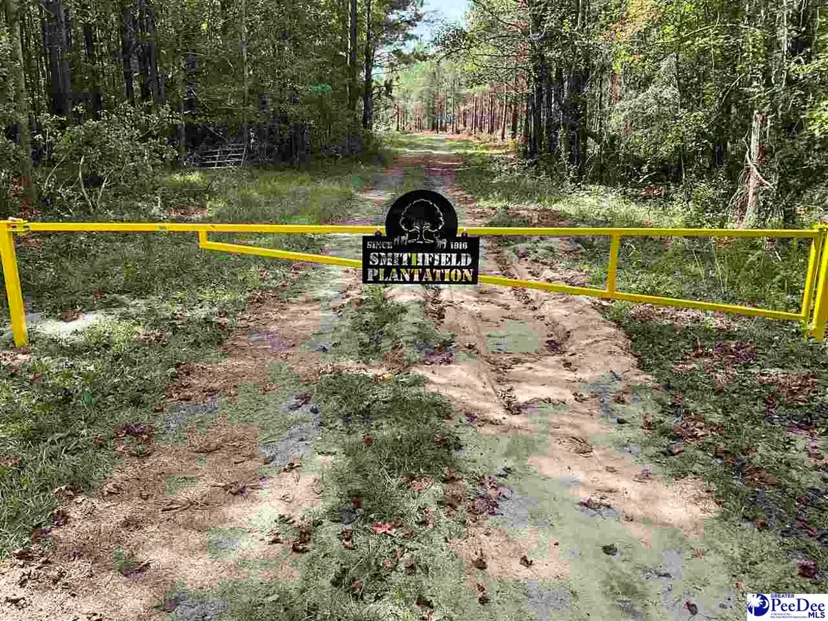 TBD Aloha Drive, Marion, SC 29571 - Image #1