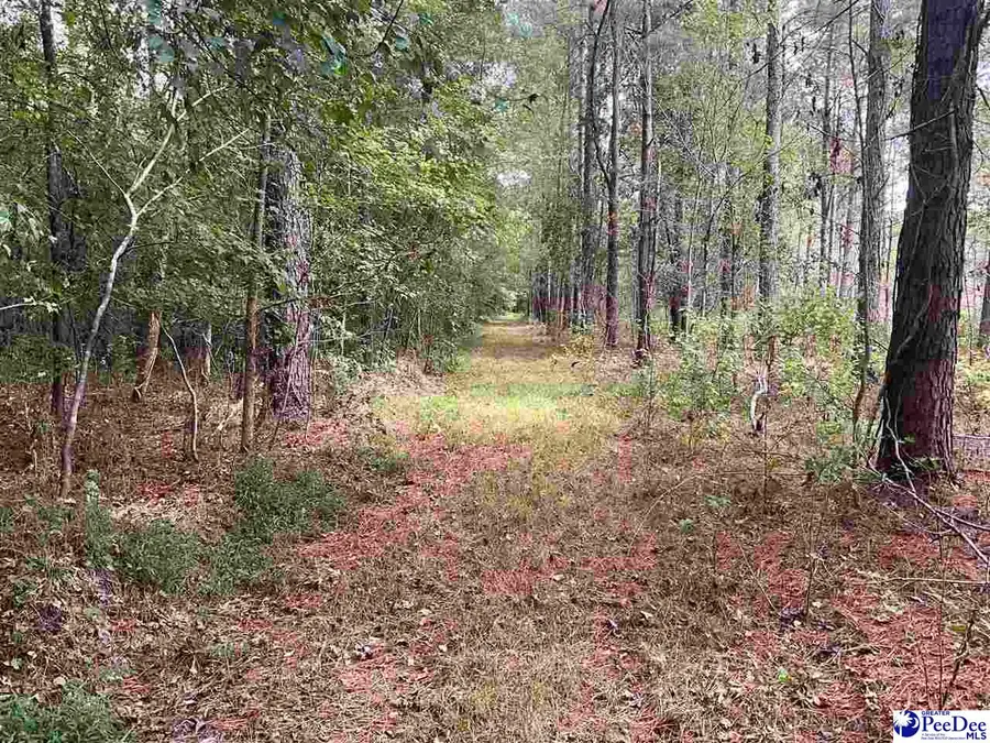 TBD Aloha Drive, Marion, SC 29571 - Image #2