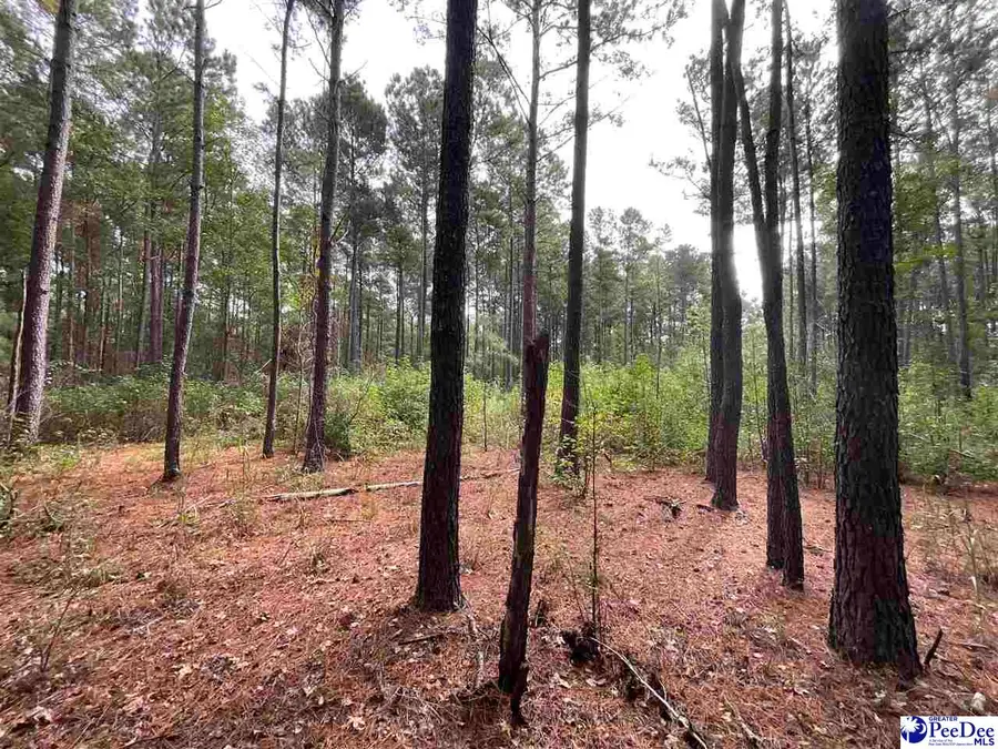 TBD Aloha Drive, Marion, SC 29571 - Image #3