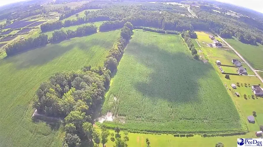 TBD Plantation Drive, Marion, SC 29571 - Image #2