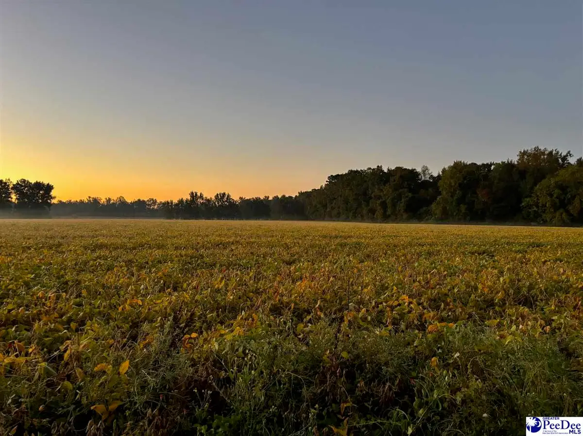 2002 Timmons Rd., Effingham, SC 29561 - Image #1