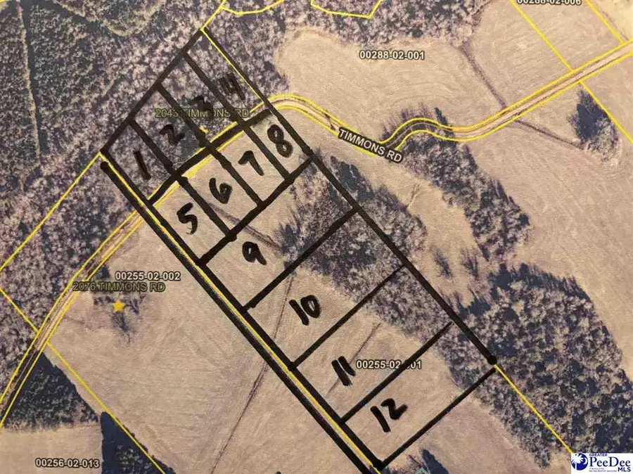 2002 Timmons Rd., Effingham, SC 29561 - Image #2