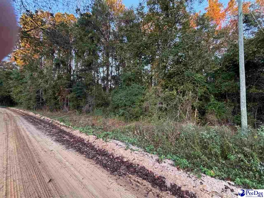 2002 Timmons Rd., Effingham, SC 29561 - Image #3
