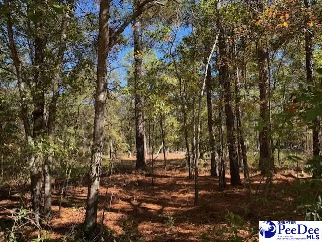 Spencer Street, Lydia, SC 29079 - Image #1