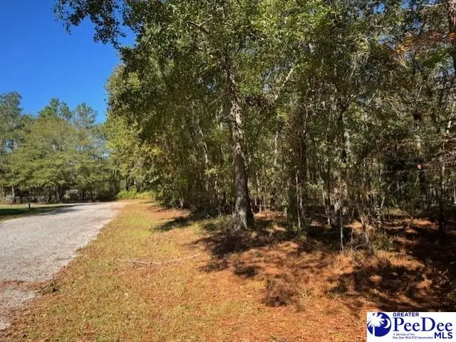 Spencer Street, Lydia, SC 29079 - Image #2