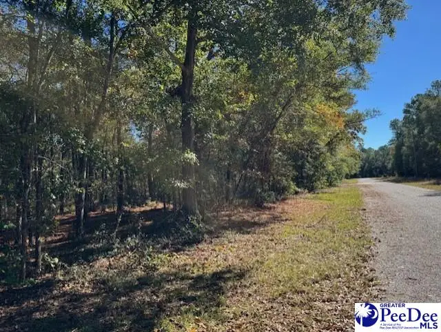 Spencer Street, Lydia, SC 29079 - Image #3