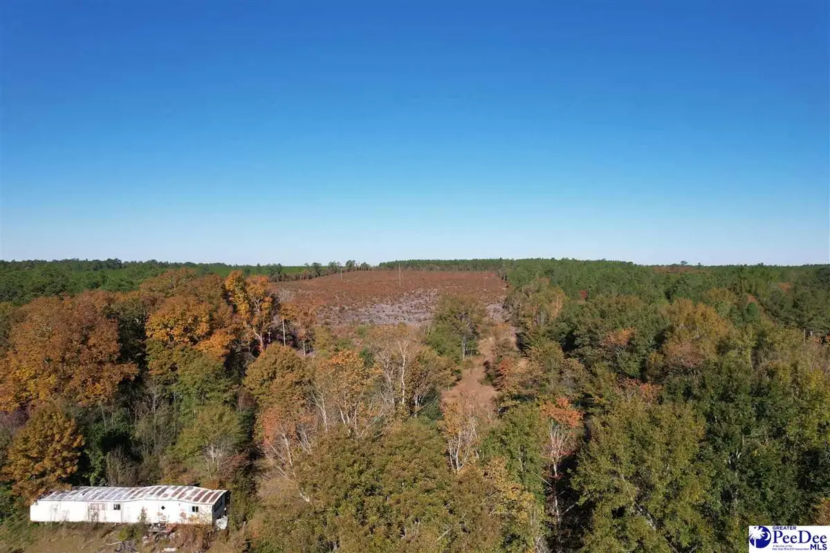 2812 New Market Rd, Hartsville, SC 29550 - Image #1