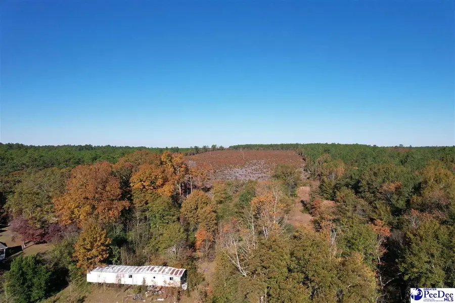 2812 New Market Rd, Hartsville, SC 29550 - Image #2