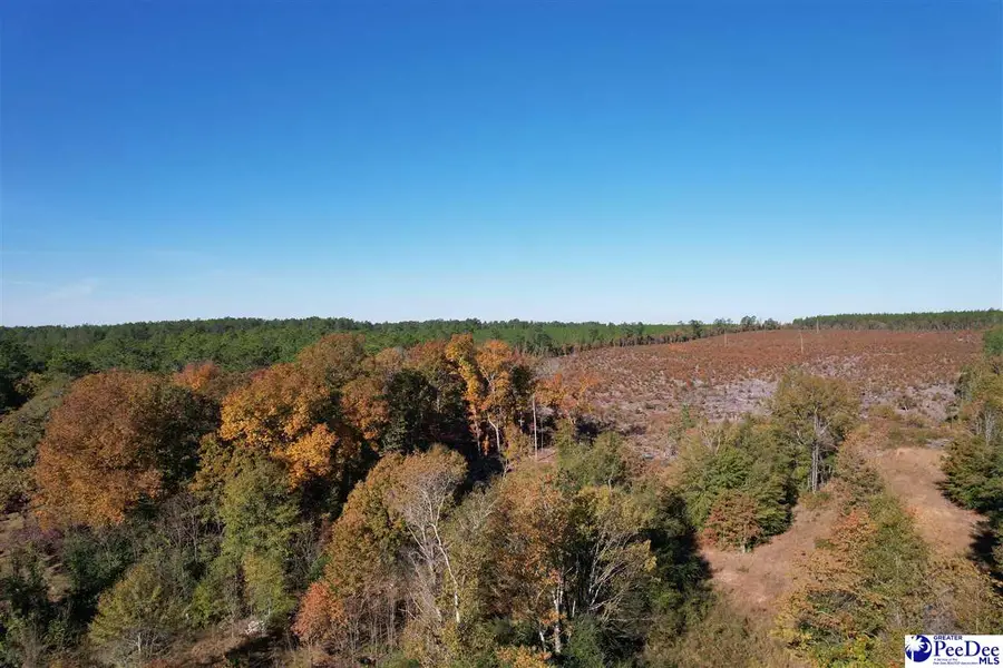 2812 New Market Rd, Hartsville, SC 29550 - Image #3