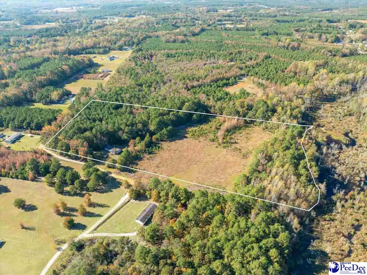 2543 Minus Ln, Effingham, SC 29541 - Image #1